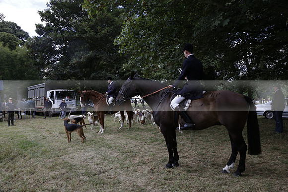 The Alresford Agricultural Show Tichbourne on Saturday 2013.09.07 www.polopictures.co.uk