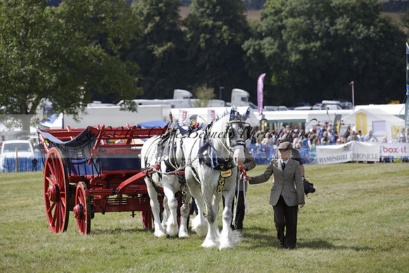 The Alresford Agricultural Show Tichbourne on Saturday 2013.09.07 www.polopictures.co.uk