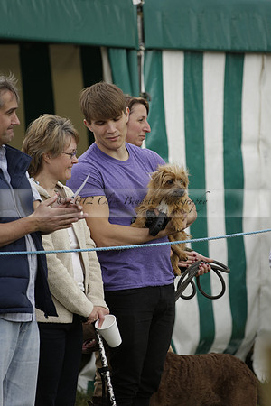 The Alresford Agricultural Show Tichbourne on Saturday 2013.09.07 www.polopictures.co.uk