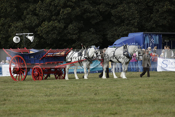 The Alresford Agricultural Show Tichbourne on Saturday 2013.09.07 www.polopictures.co.uk