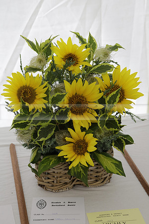 The Alresford Agricultural Show Tichbourne on Saturday 2013.09.07 www.polopictures.co.uk
