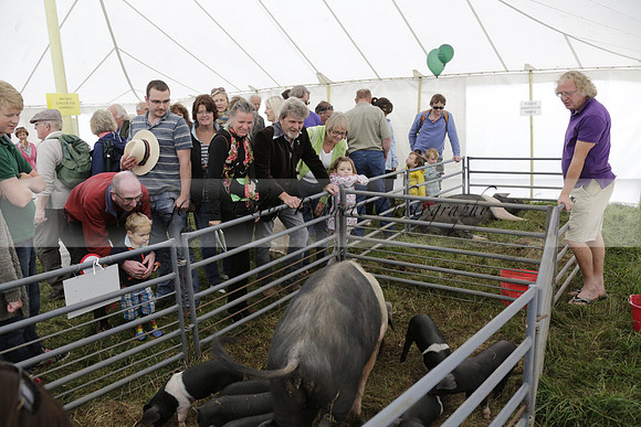 The Alresford Agricultural Show Tichbourne on Saturday 2013.09.07 www.polopictures.co.uk