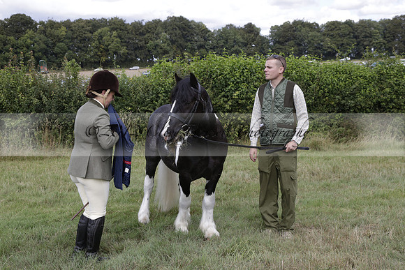 The Alresford Agricultural Show Tichbourne on Saturday 2013.09.07 www.polopictures.co.uk