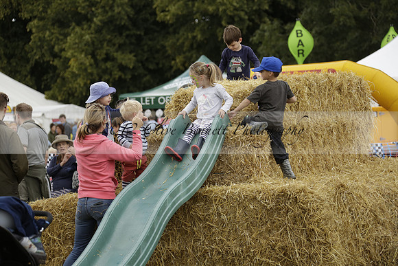 The Alresford Agricultural Show Tichbourne on Saturday 2013.09.07 www.polopictures.co.uk