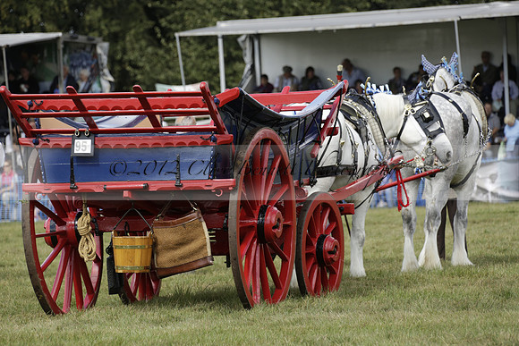 The Alresford Agricultural Show Tichbourne on Saturday 2013.09.07 www.polopictures.co.uk