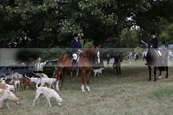 The Alresford Agricultural Show Tichbourne on Saturday 2013.09.07 www.polopictures.co.uk