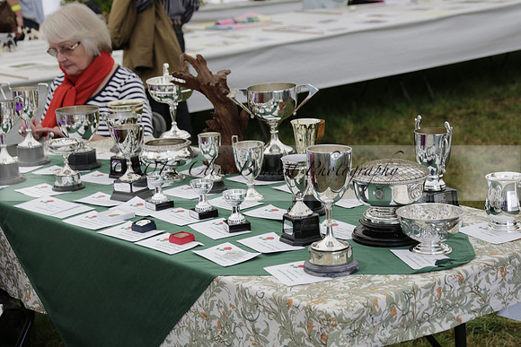 The Alresford Agricultural Show Tichbourne on Saturday 2013.09.07 www.polopictures.co.uk