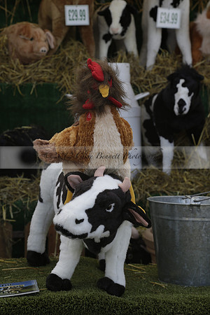 The Alresford Agricultural Show Tichbourne on Saturday 2013.09.07 www.polopictures.co.uk