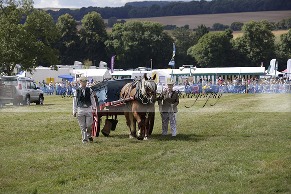 The Alresford Agricultural Show Tichbourne on Saturday 2013.09.07 www.polopictures.co.uk