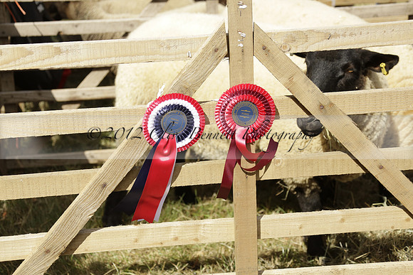 The Alresford Agricultural Show Tichbourne on Saturday 2013.09.07 www.polopictures.co.uk