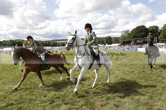 The Alresford Agricultural Show Tichbourne on Saturday 2013.09.07 www.polopictures.co.uk