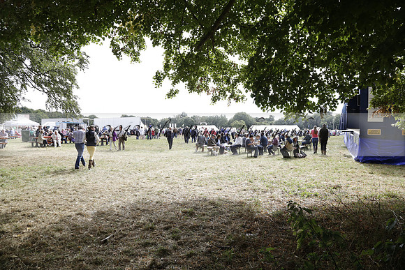 The Alresford Agricultural Show Tichbourne on Saturday 2013.09.07 www.polopictures.co.uk