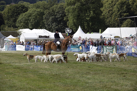 The Alresford Agricultural Show Tichbourne on Saturday 2013.09.07 www.polopictures.co.uk