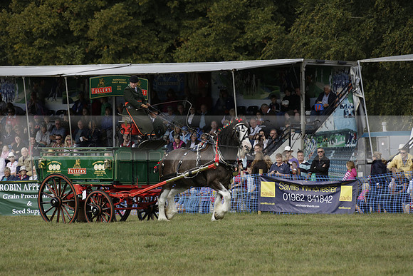 The Alresford Agricultural Show Tichbourne on Saturday 2013.09.07 www.polopictures.co.uk