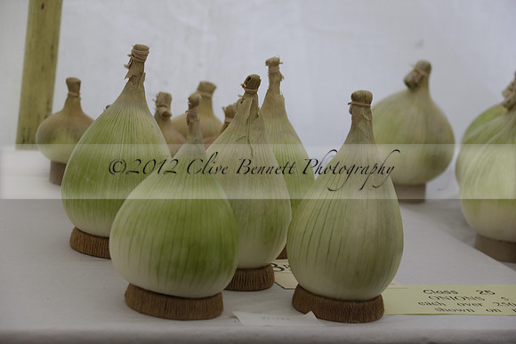 The Alresford Agricultural Show Tichbourne on Saturday 2013.09.07 www.polopictures.co.uk