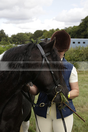 The Alresford Agricultural Show Tichbourne on Saturday 2013.09.07 www.polopictures.co.uk