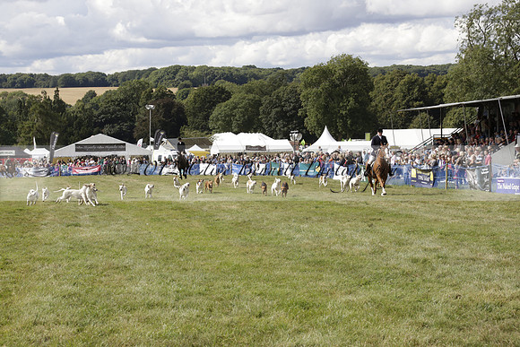 The Alresford Agricultural Show Tichbourne on Saturday 2013.09.07 www.polopictures.co.uk