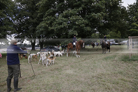 The Alresford Agricultural Show Tichbourne on Saturday 2013.09.07 www.polopictures.co.uk