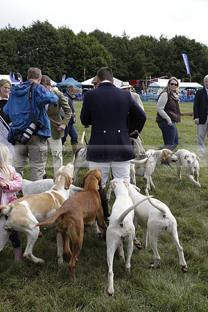 The Alresford Agricultural Show Tichbourne on Saturday 2013.09.07 www.polopictures.co.uk