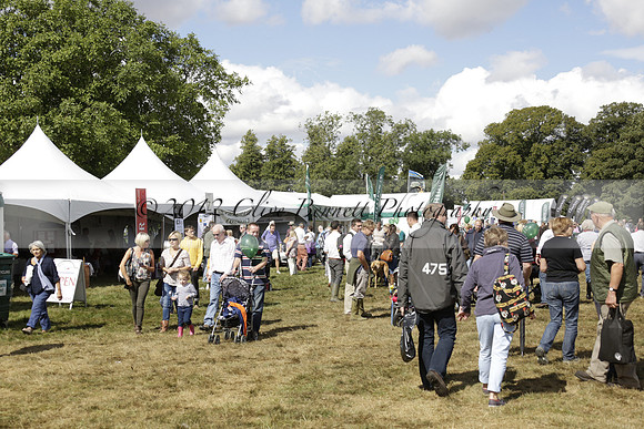 The Alresford Agricultural Show Tichbourne on Saturday 2013.09.07 www.polopictures.co.uk
