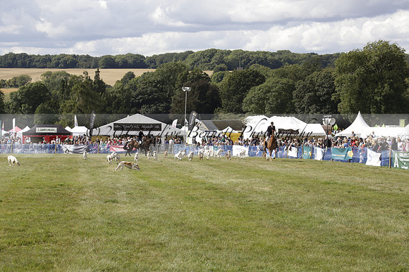 The Alresford Agricultural Show Tichbourne on Saturday 2013.09.07 www.polopictures.co.uk