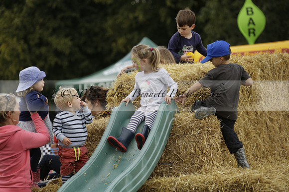 The Alresford Agricultural Show Tichbourne on Saturday 2013.09.07 www.polopictures.co.uk