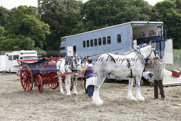 The Alresford Agricultural Show Tichbourne on Saturday 2013.09.07 www.polopictures.co.uk