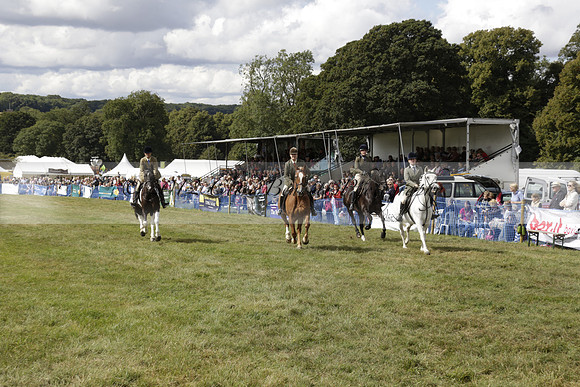 The Alresford Agricultural Show Tichbourne on Saturday 2013.09.07 www.polopictures.co.uk