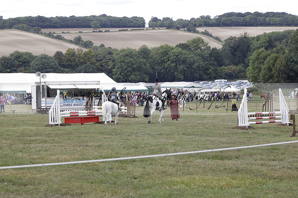 The Alresford Agricultural Show Tichbourne on Saturday 2013.09.07 www.polopictures.co.uk