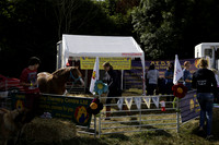 The Alresford Agricultural Show Tichbourne on Saturday 2013.09.07 www.polopictures.co.uk