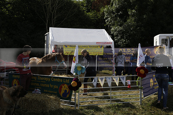 The Alresford Agricultural Show Tichbourne on Saturday 2013.09.07 www.polopictures.co.uk