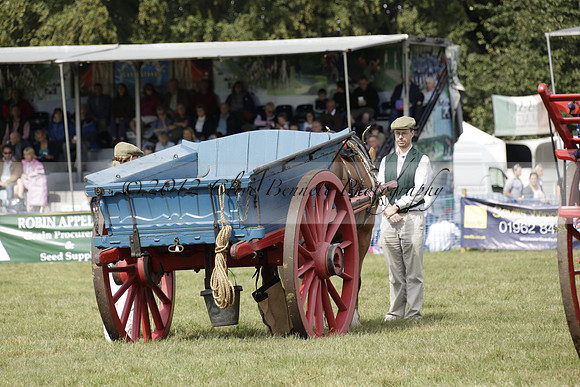 The Alresford Agricultural Show Tichbourne on Saturday 2013.09.07 www.polopictures.co.uk