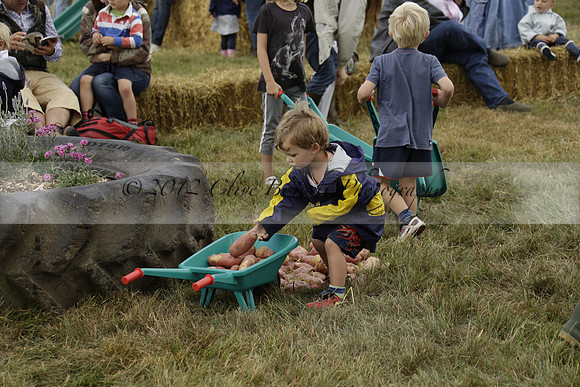 The Alresford Agricultural Show Tichbourne on Saturday 2013.09.07 www.polopictures.co.uk