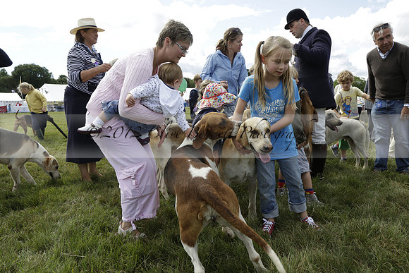 The Alresford Agricultural Show Tichbourne on Saturday 2013.09.07 www.polopictures.co.uk