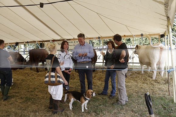 The Alresford Agricultural Show Tichbourne on Saturday 2013.09.07 www.polopictures.co.uk