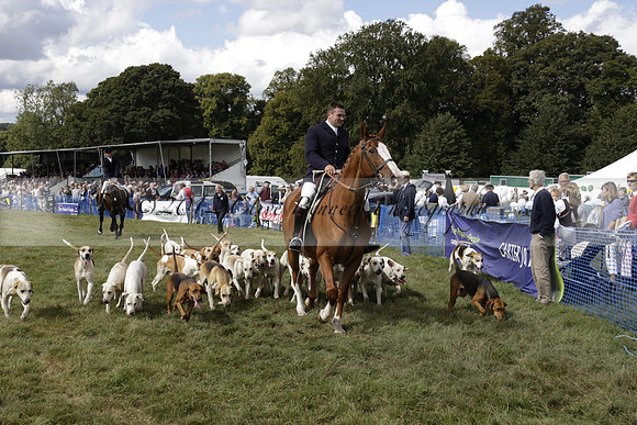 The Alresford Agricultural Show Tichbourne on Saturday 2013.09.07 www.polopictures.co.uk