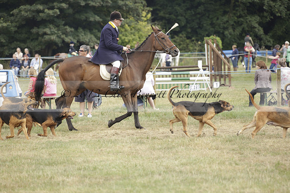 The Alresford Agricultural Show Tichbourne on Saturday 2013.09.07 www.polopictures.co.uk