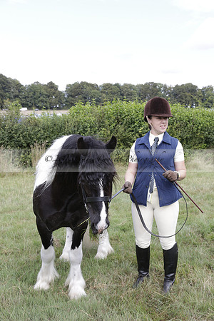 The Alresford Agricultural Show Tichbourne on Saturday 2013.09.07 www.polopictures.co.uk