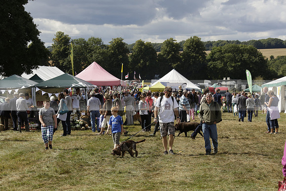 The Alresford Agricultural Show Tichbourne on Saturday 2013.09.07 www.polopictures.co.uk
