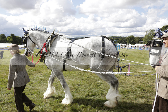 The Alresford Agricultural Show Tichbourne on Saturday 2013.09.07 www.polopictures.co.uk