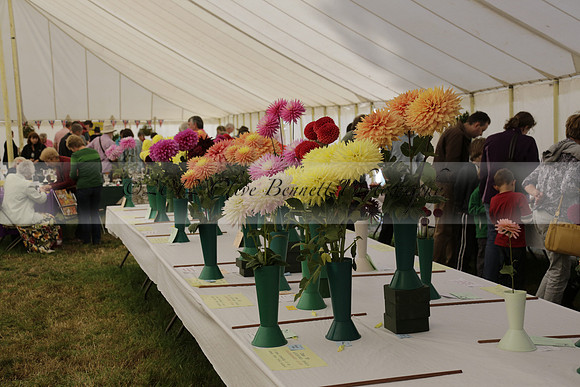 The Alresford Agricultural Show Tichbourne on Saturday 2013.09.07 www.polopictures.co.uk