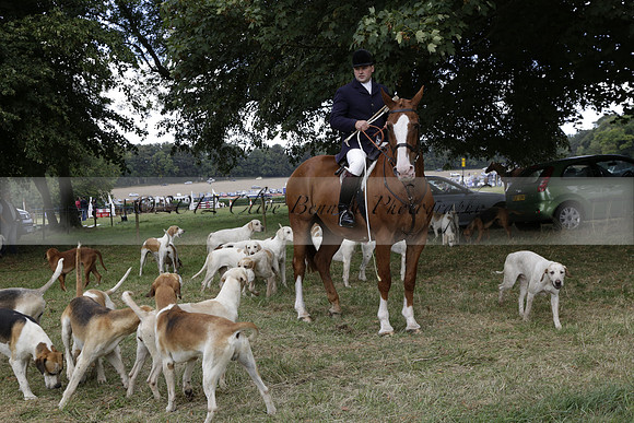 The Alresford Agricultural Show Tichbourne on Saturday 2013.09.07 www.polopictures.co.uk