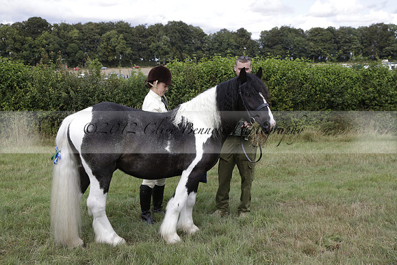 The Alresford Agricultural Show Tichbourne on Saturday 2013.09.07 www.polopictures.co.uk