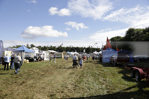 The Alresford Agricultural Show Tichbourne on Saturday 2013.09.07 www.polopictures.co.uk
