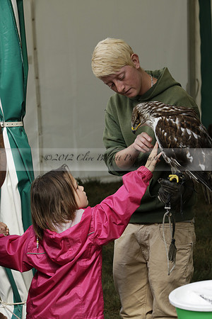 The Alresford Agricultural Show Tichbourne on Saturday 2013.09.07 www.polopictures.co.uk