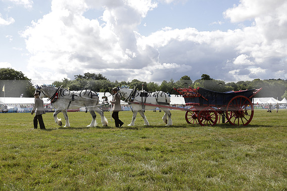 The Alresford Agricultural Show Tichbourne on Saturday 2013.09.07 www.polopictures.co.uk