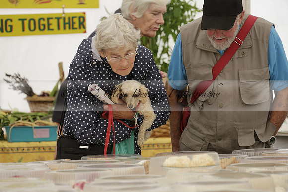 The Alresford Agricultural Show Tichbourne on Saturday 2013.09.07 www.polopictures.co.uk