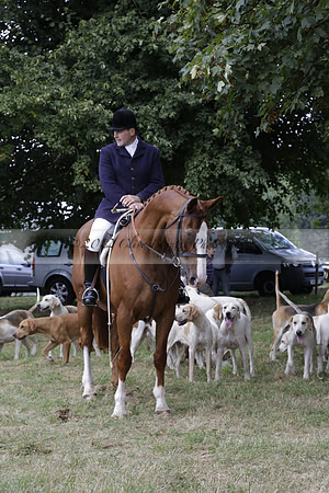 The Alresford Agricultural Show Tichbourne on Saturday 2013.09.07 www.polopictures.co.uk