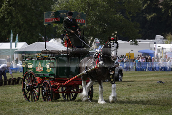 The Alresford Agricultural Show Tichbourne on Saturday 2013.09.07 www.polopictures.co.uk