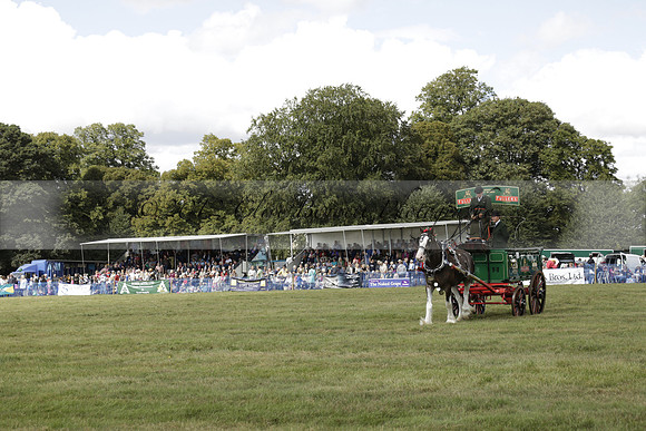 The Alresford Agricultural Show Tichbourne on Saturday 2013.09.07 www.polopictures.co.uk